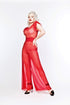 Sheer Show Jumpsuit
